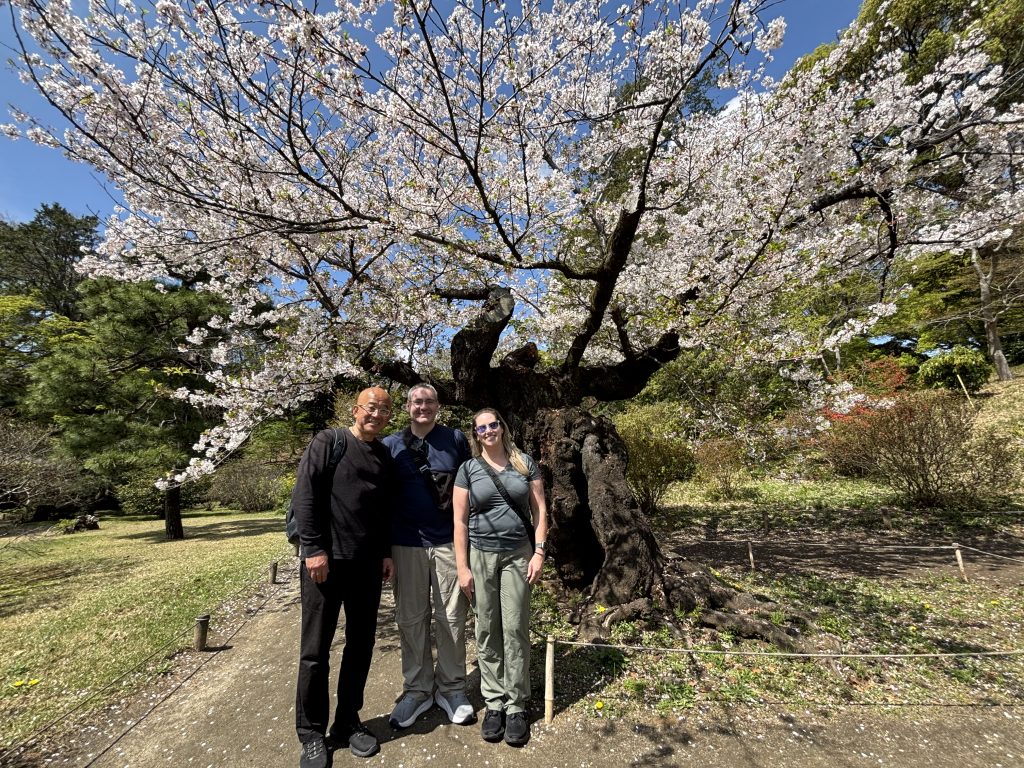 Tokyo in One Day: Meiji Shrine & Hamarikyu Gardens