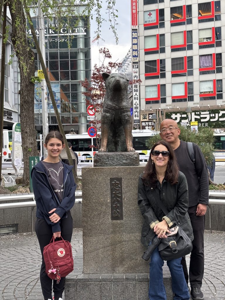 Tokyo in One Day: Meiji Shrine & Sensoji Temple