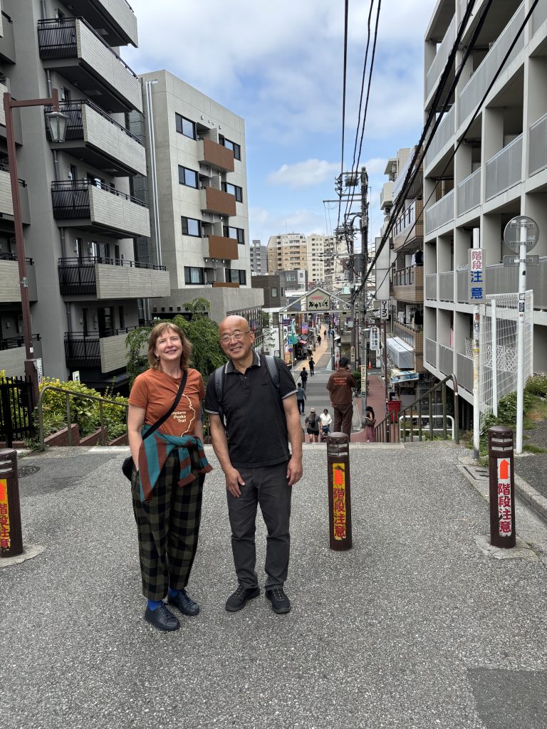 Tokyo in One Day: Nezu Shrine & Namiyoke Shrine
