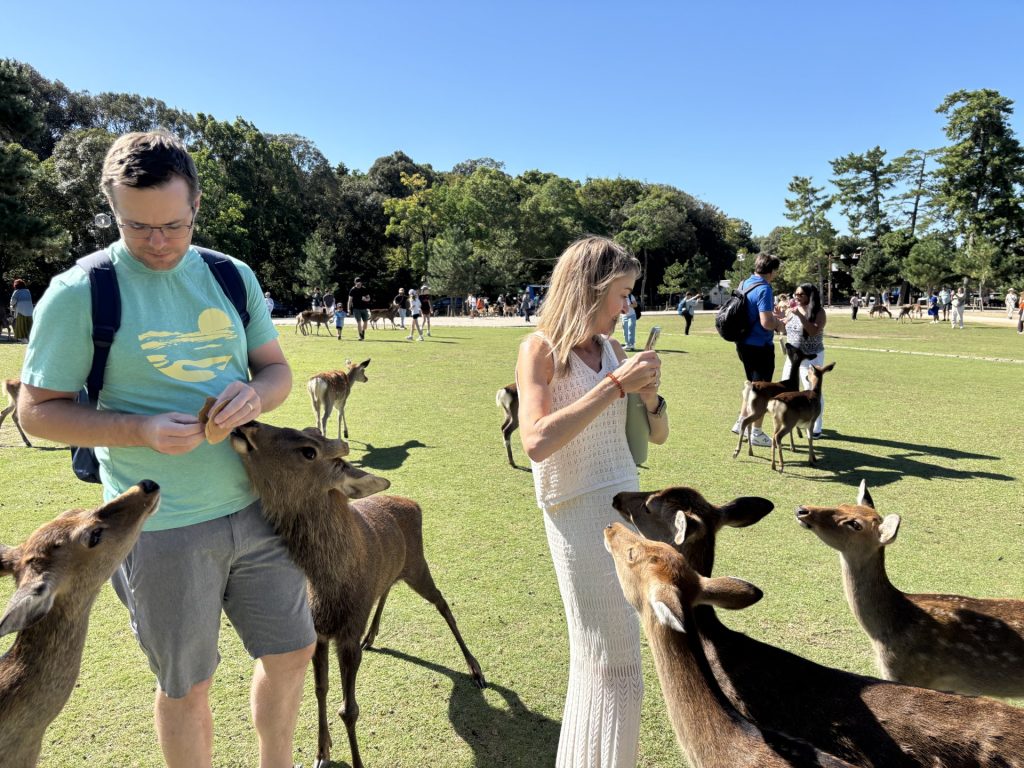 Nara in One Day: Nara Park & Kasuga Taisha Shrine