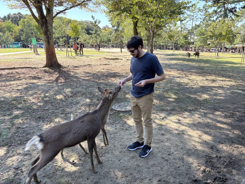 Osaka: Nara Park & Zentis Osaka