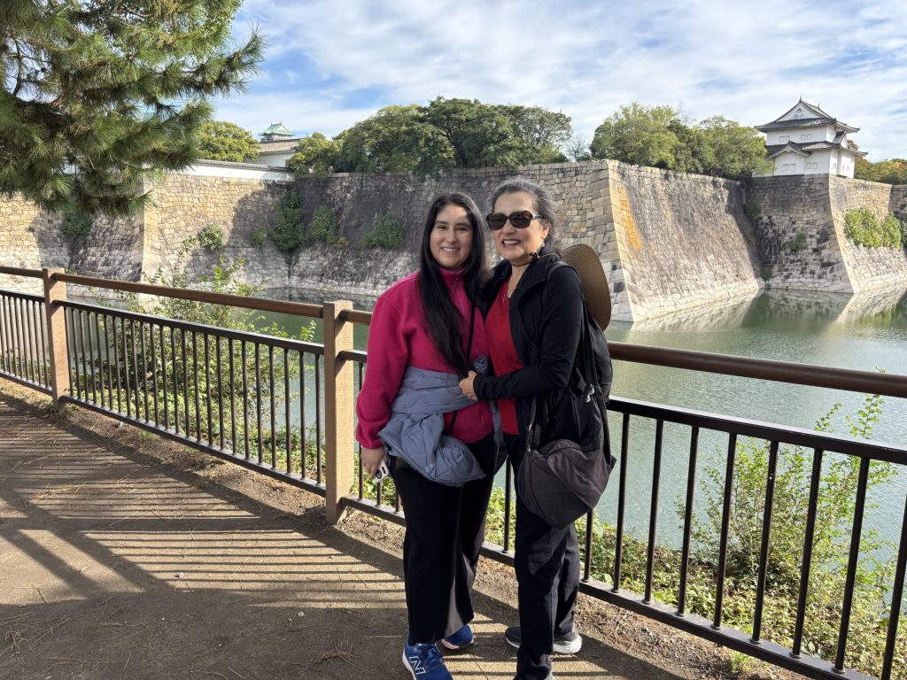 Osaka in One Day: Osaka Castle Keep & Shitennoji Temple