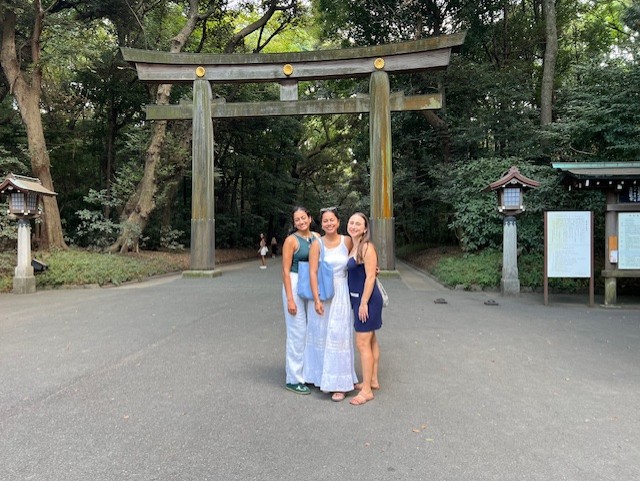 Tokyo Customized Private Tour in 1 Day
