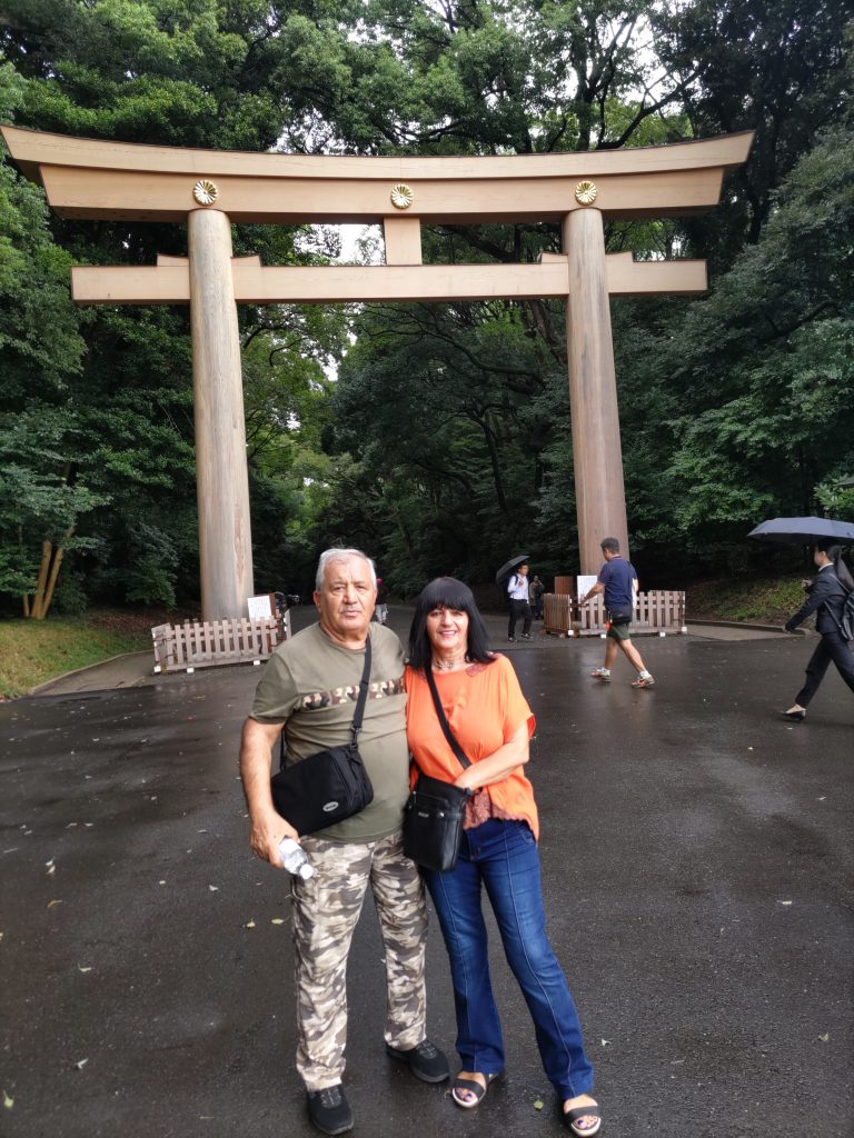Tokyo Customized Private Tour in 1 Day