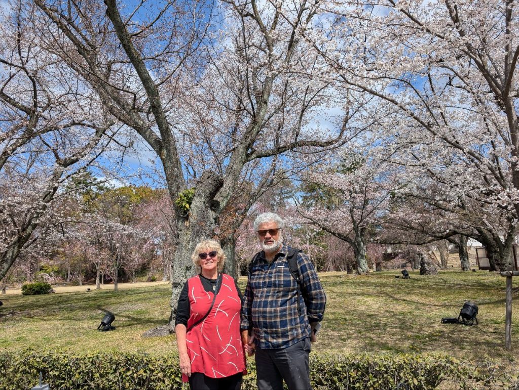 Kyoto Customized Private Tour in 1 Day