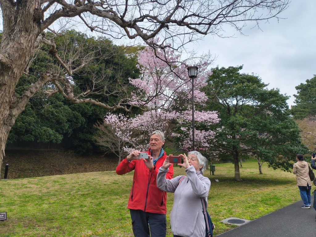 Tokyo Customized Private Tour in 1 Day