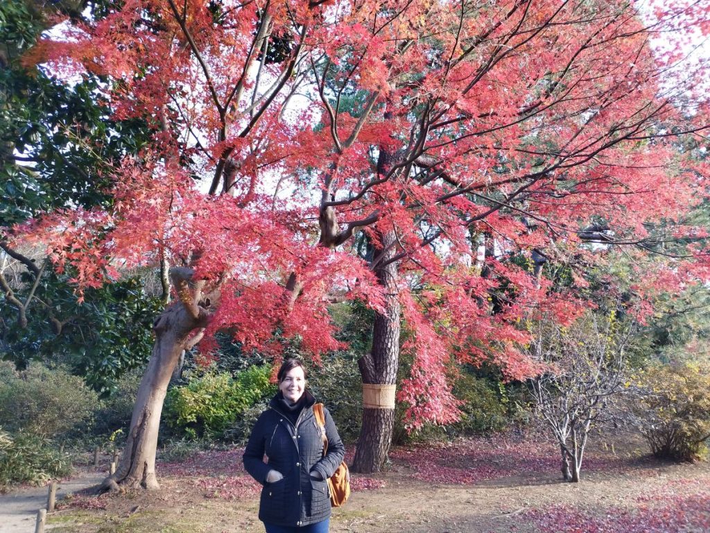 Tokyo Customized Private Tour in 1 Day