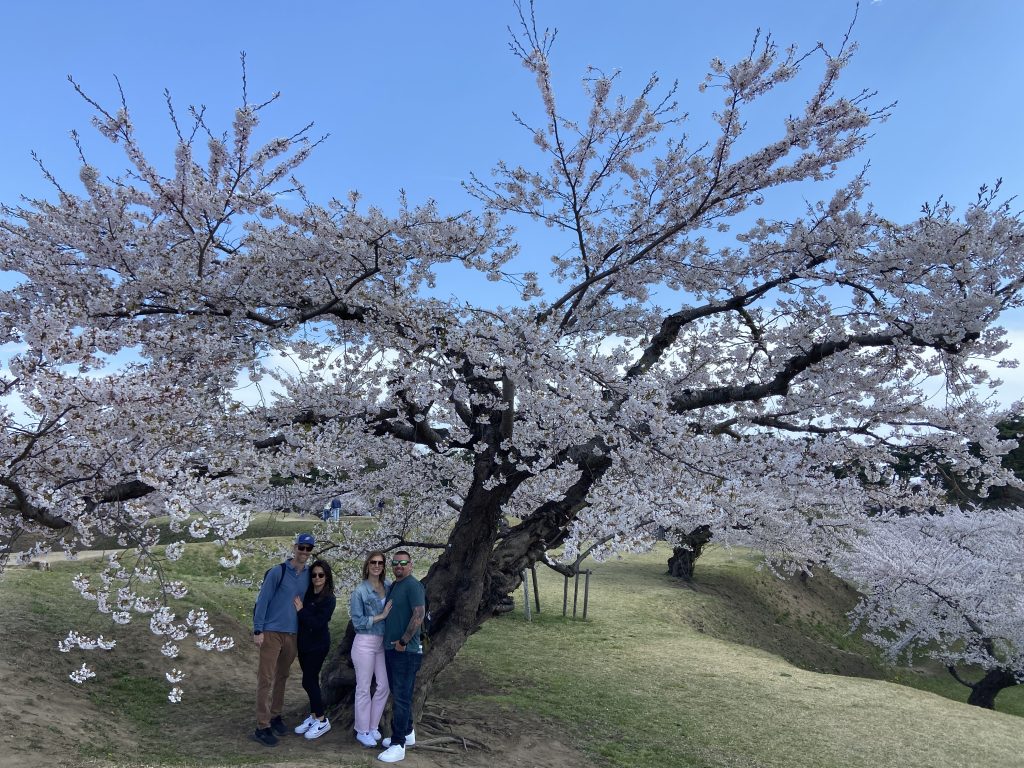Hakodate Customized Private Tour in 1 Day