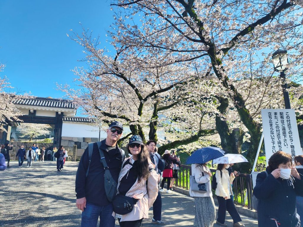 Tokyo Customized Private Tour in 1 Day