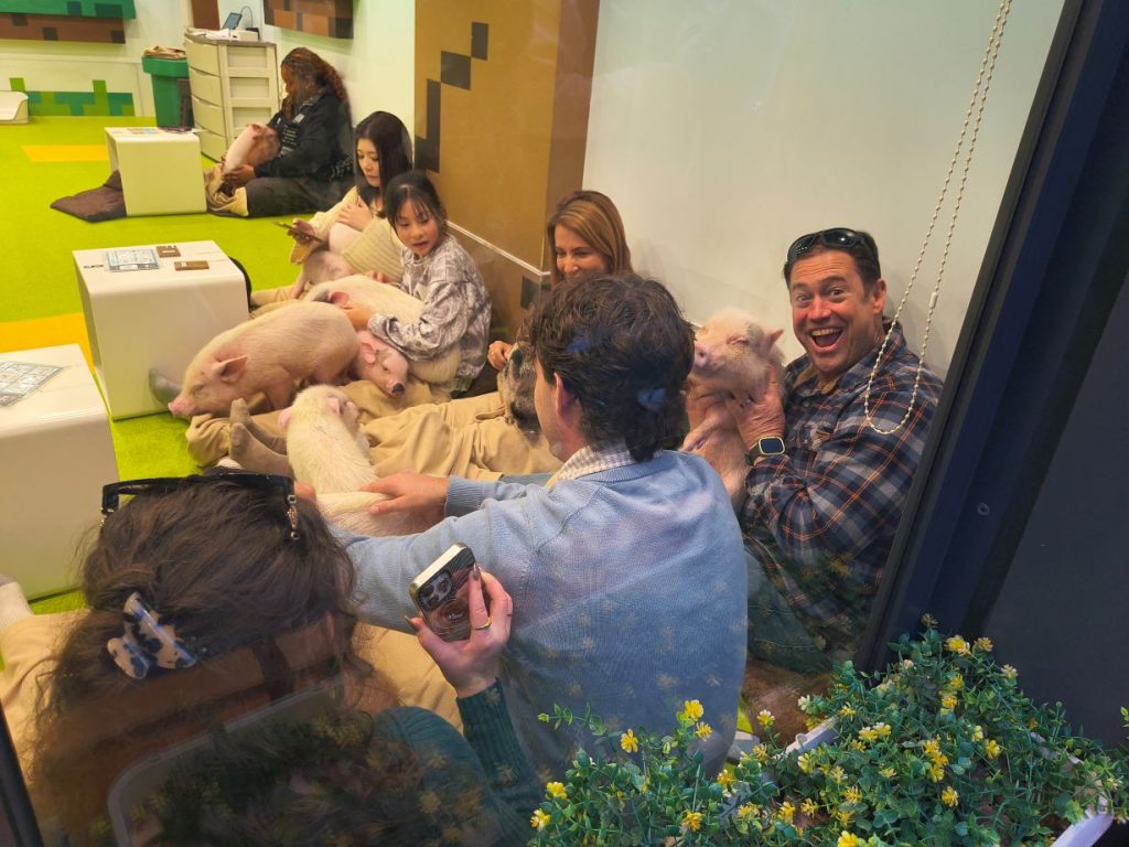 Tokyo Customized Full-Day Private Tour