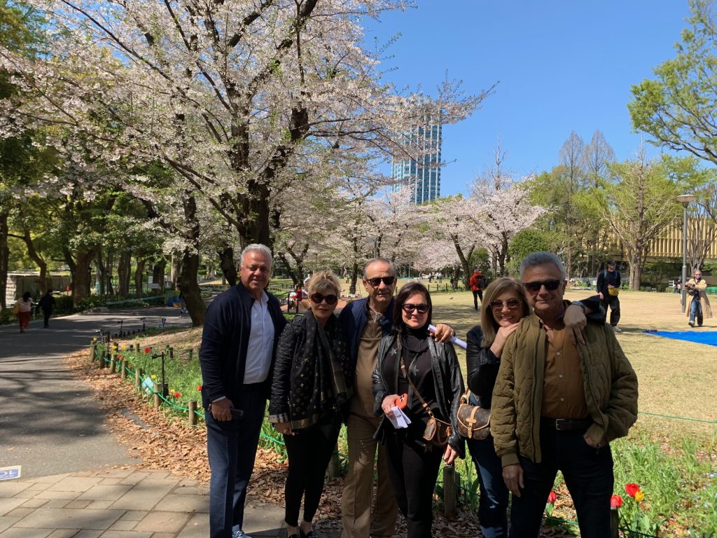 Tokyo Customized Private Tour in 1 Day