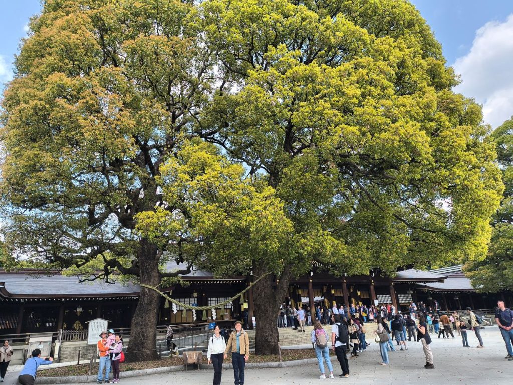 Tokyo Customized Private Tour by Car