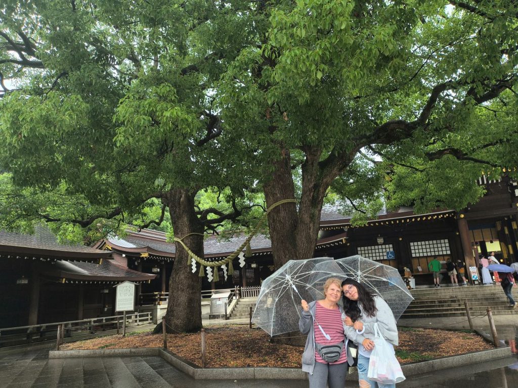 Tokyo Customized Private Tour in 1 Day