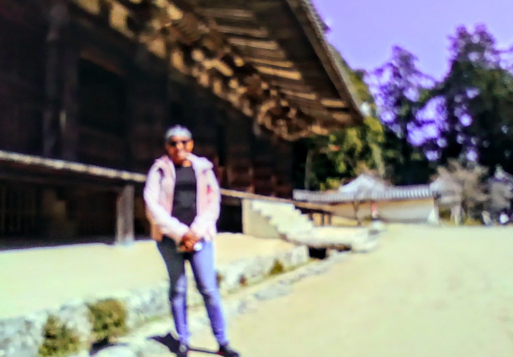 Hyogo in Half a Day: Himeji Castle Main Keep & Himeji Station