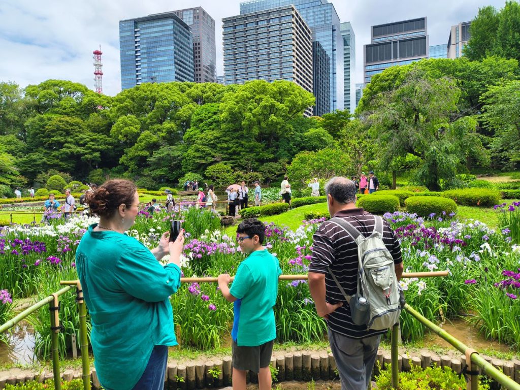 Tokyo Customized Private Tour by Car