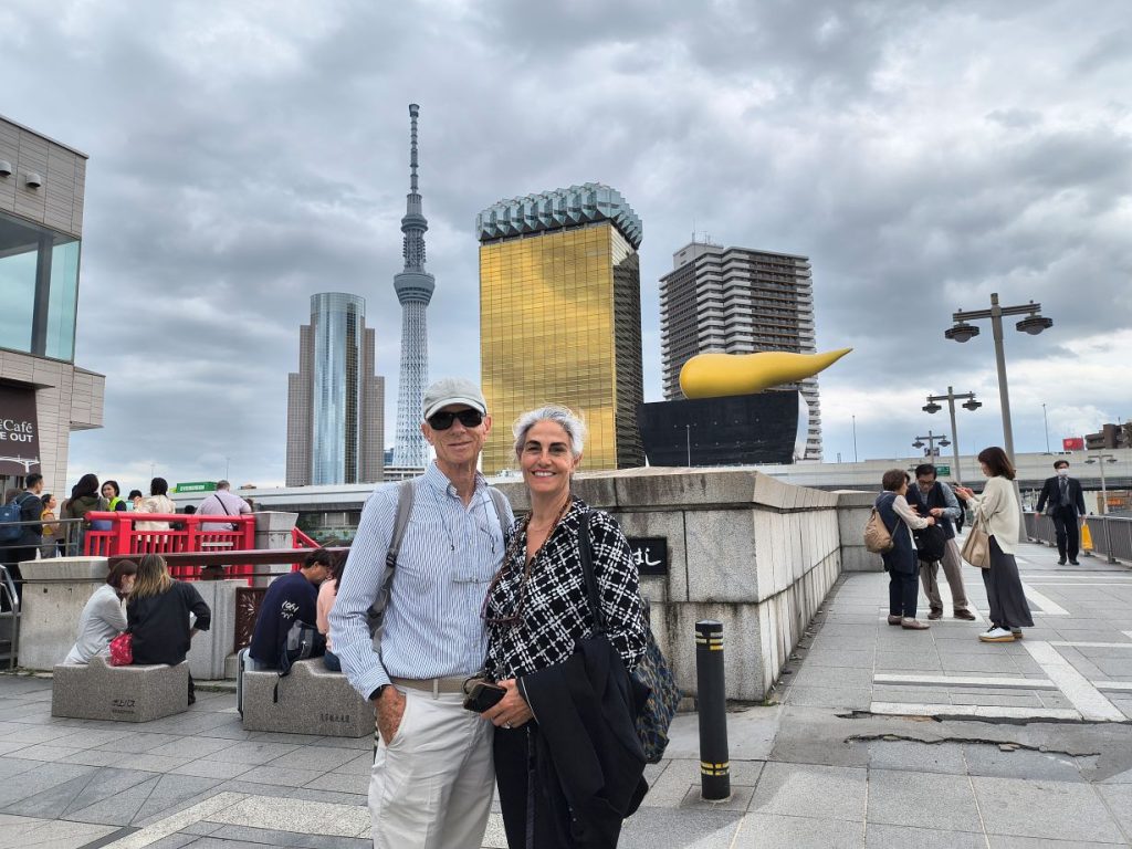 Tokyo Customized Private Tour in 1 Day