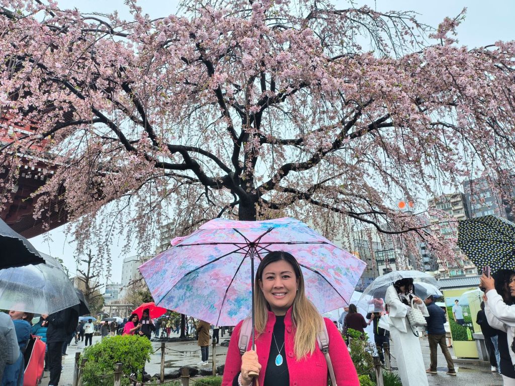 Tokyo Customized Private Tour in 1 Day