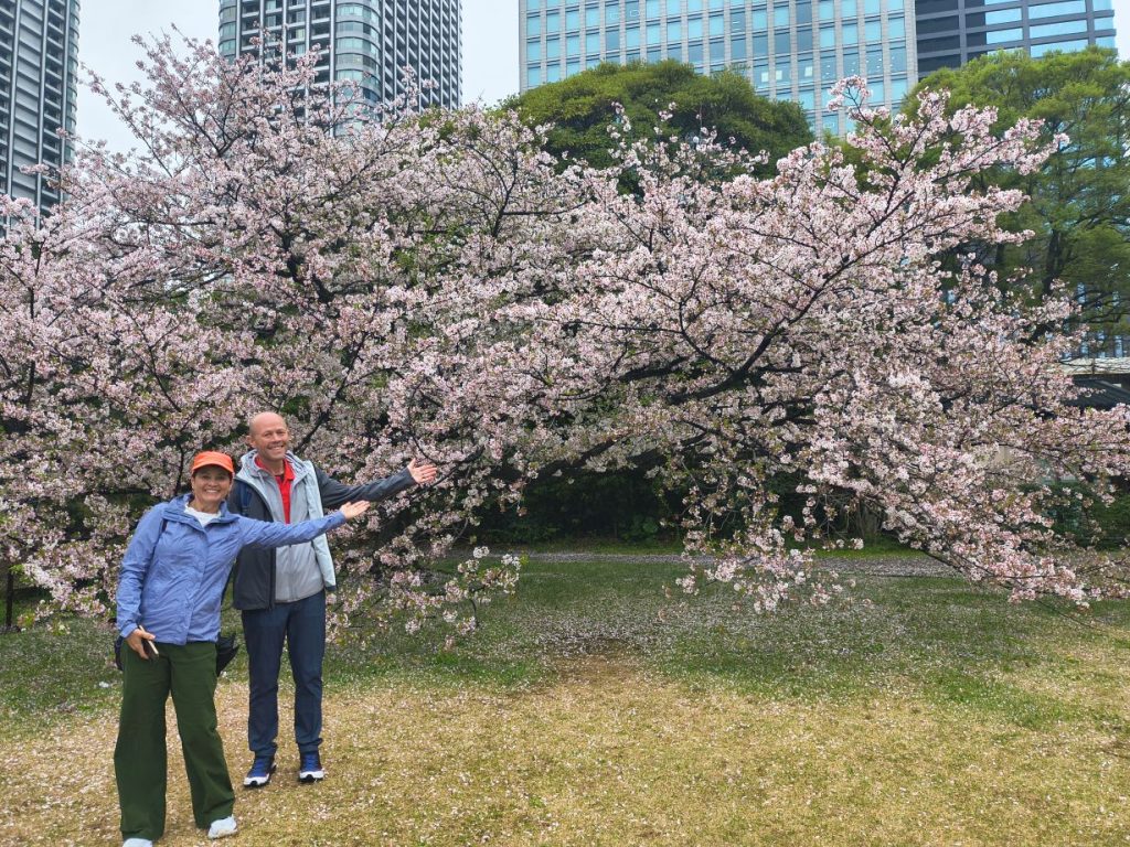 Tokyo Japanese Gardens Private Tour