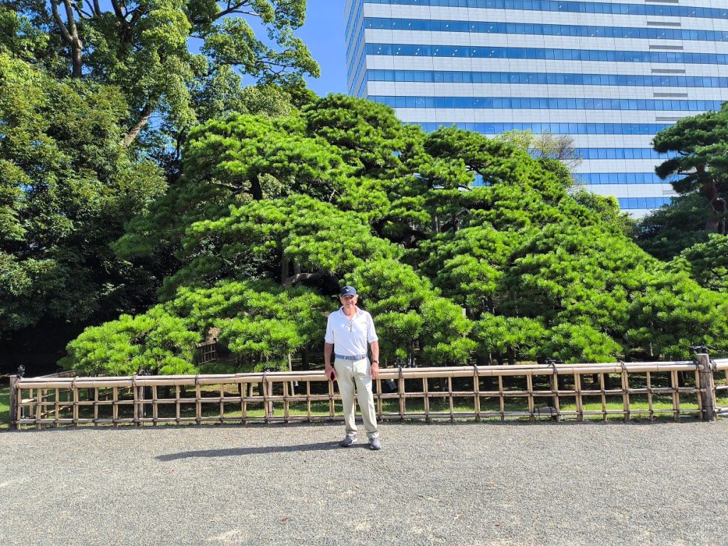 Tokyo Customized Private Tour in 1 Day