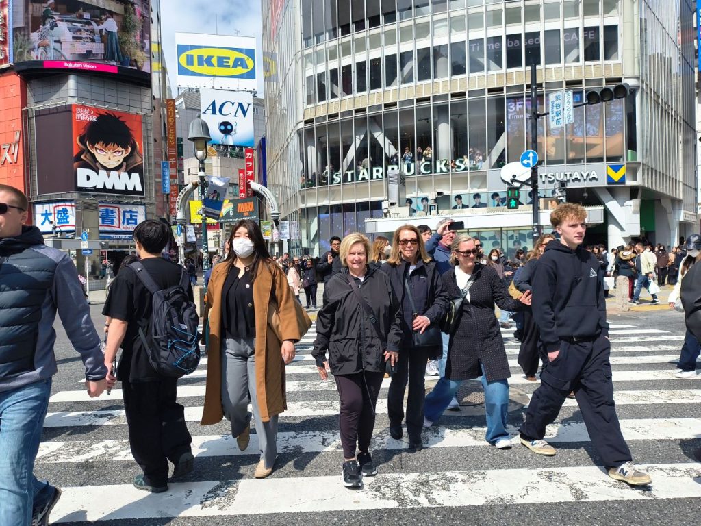 Tokyo Customized Private Tour in 1 Day