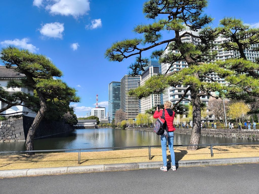 Tokyo Customized Half-Day Tour