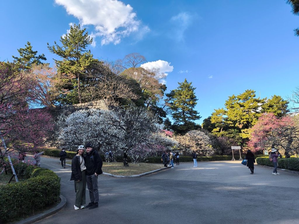 Tokyo Customized Private Tour in 1 Day