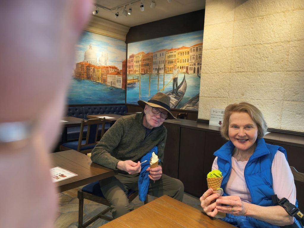Tokyo Customized Private Tour in 1 Day