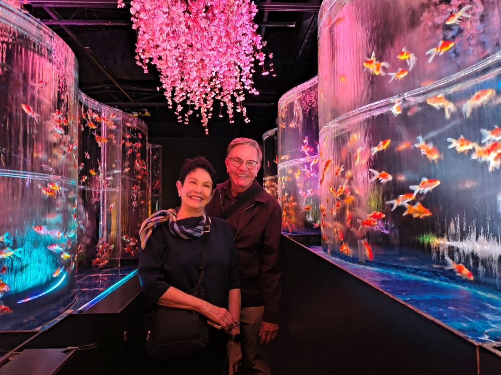 Tokyo Customized Private Tour by Car