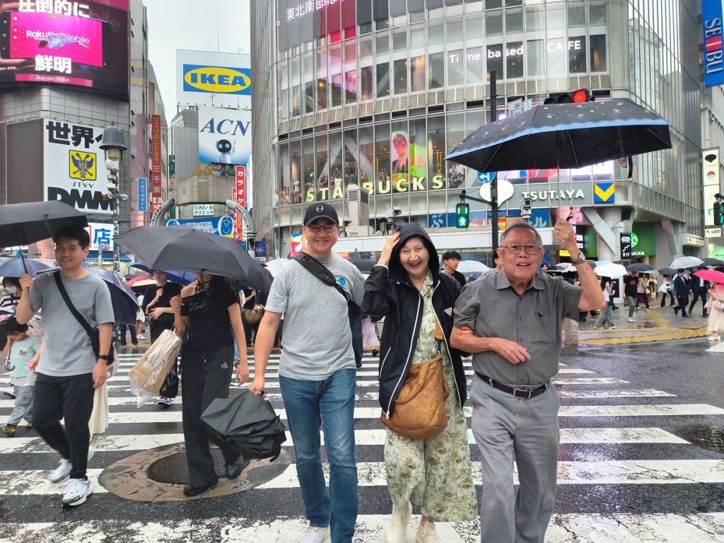Tokyo in 1 Day from Yokohama by Car