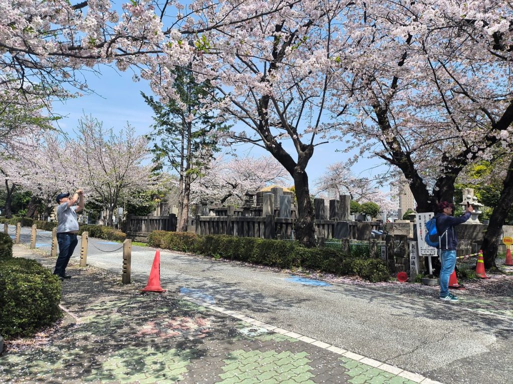 Tokyo Customized Private Tour in 1 Day