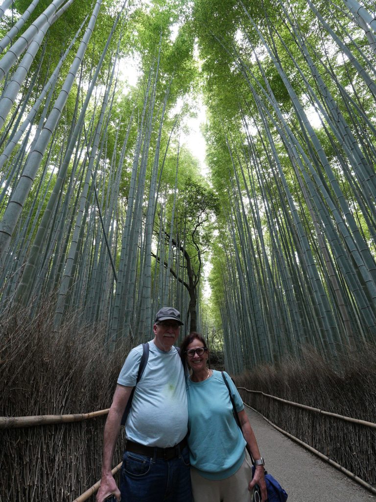 Kyoto: Fushimiinari & Teramachi Shopping Arcade