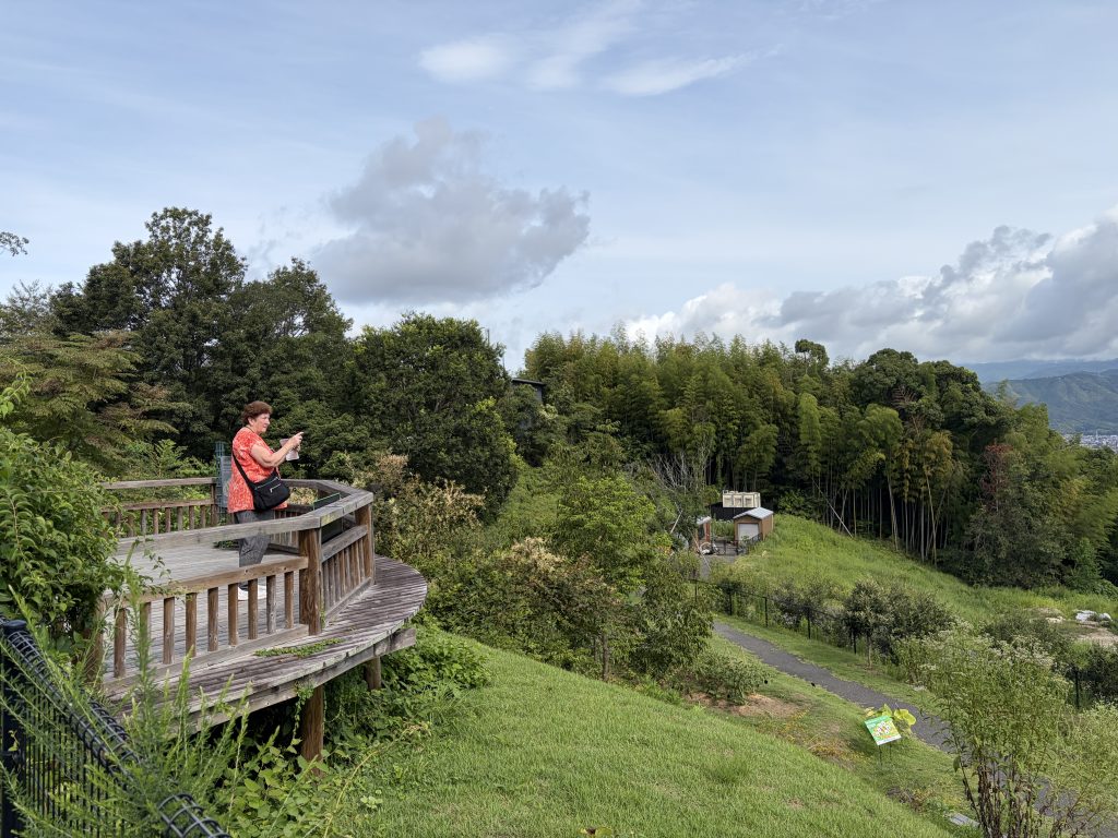 Kochi: Makino Botanical Garden