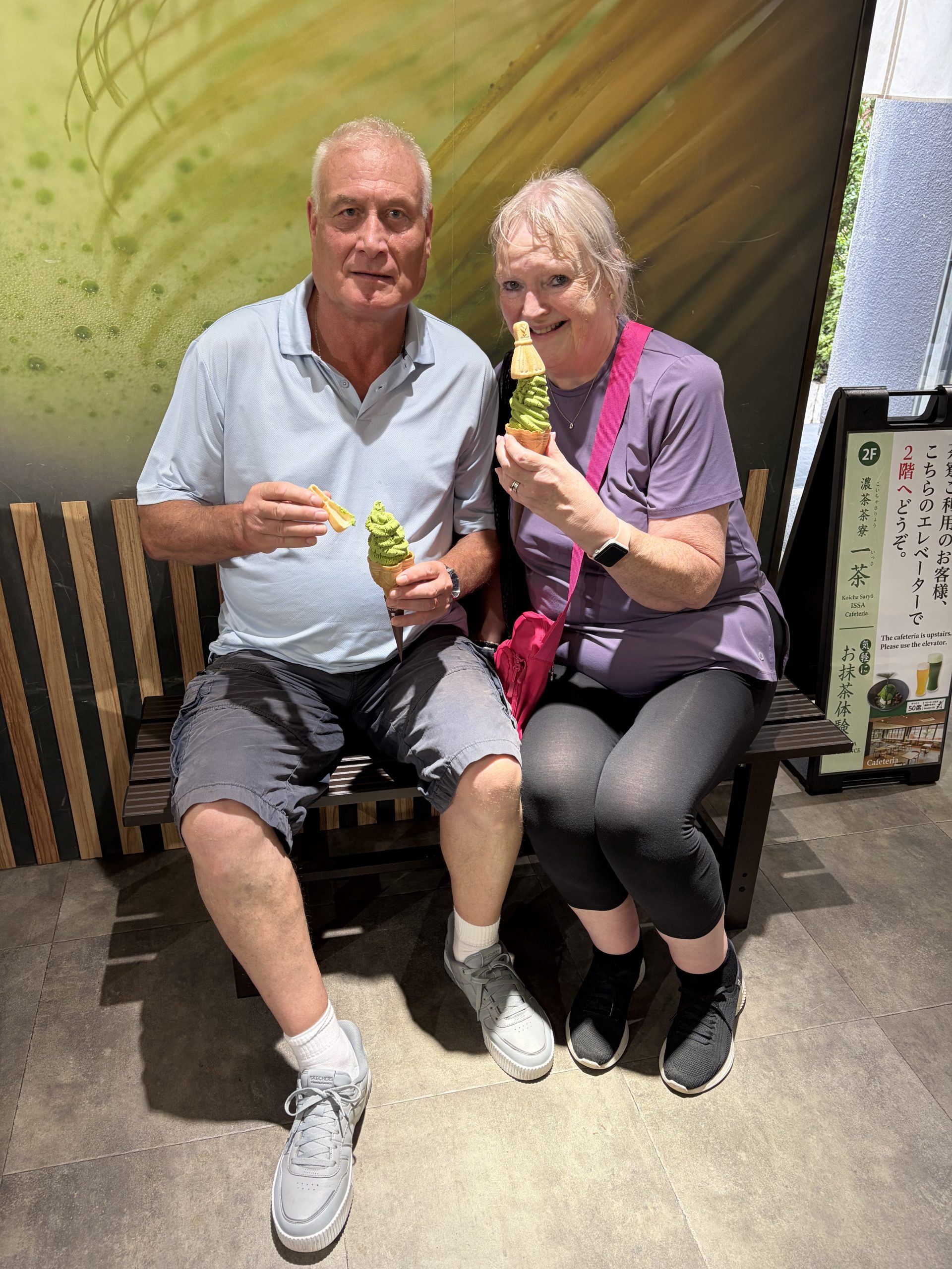 Tokyo in One Day: Meiji Shrine & Ginza