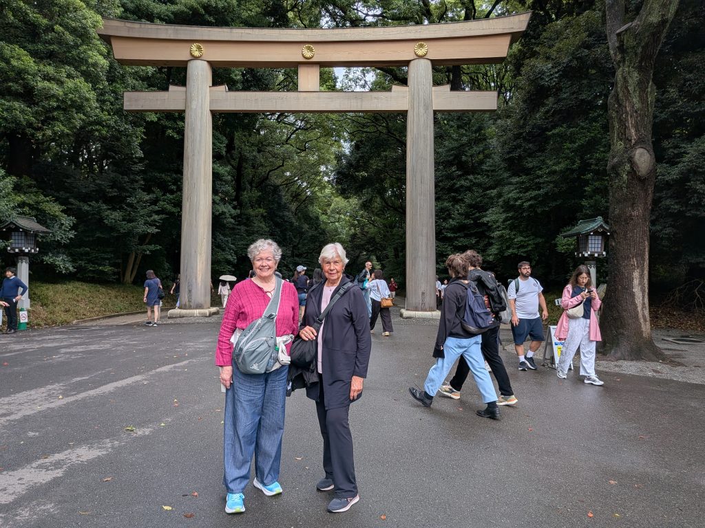 Tokyo in One Day: Meiji Shrine & Akihabara