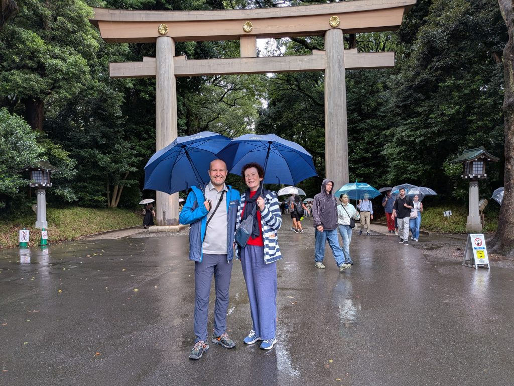 Tokyo in One Day: Meiji Shrine & Akihabara