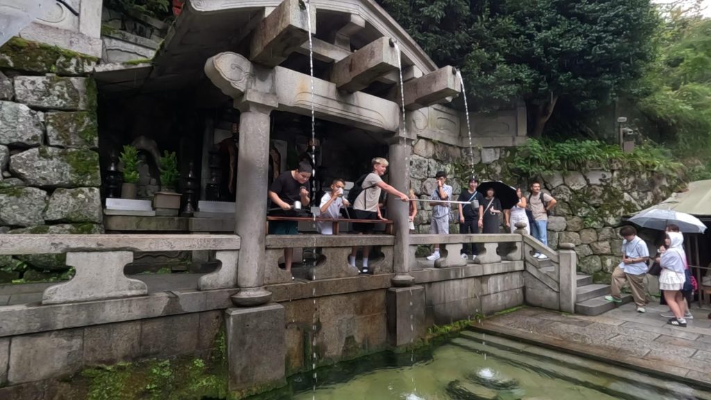 Kyoto Customized Private Tour by Car