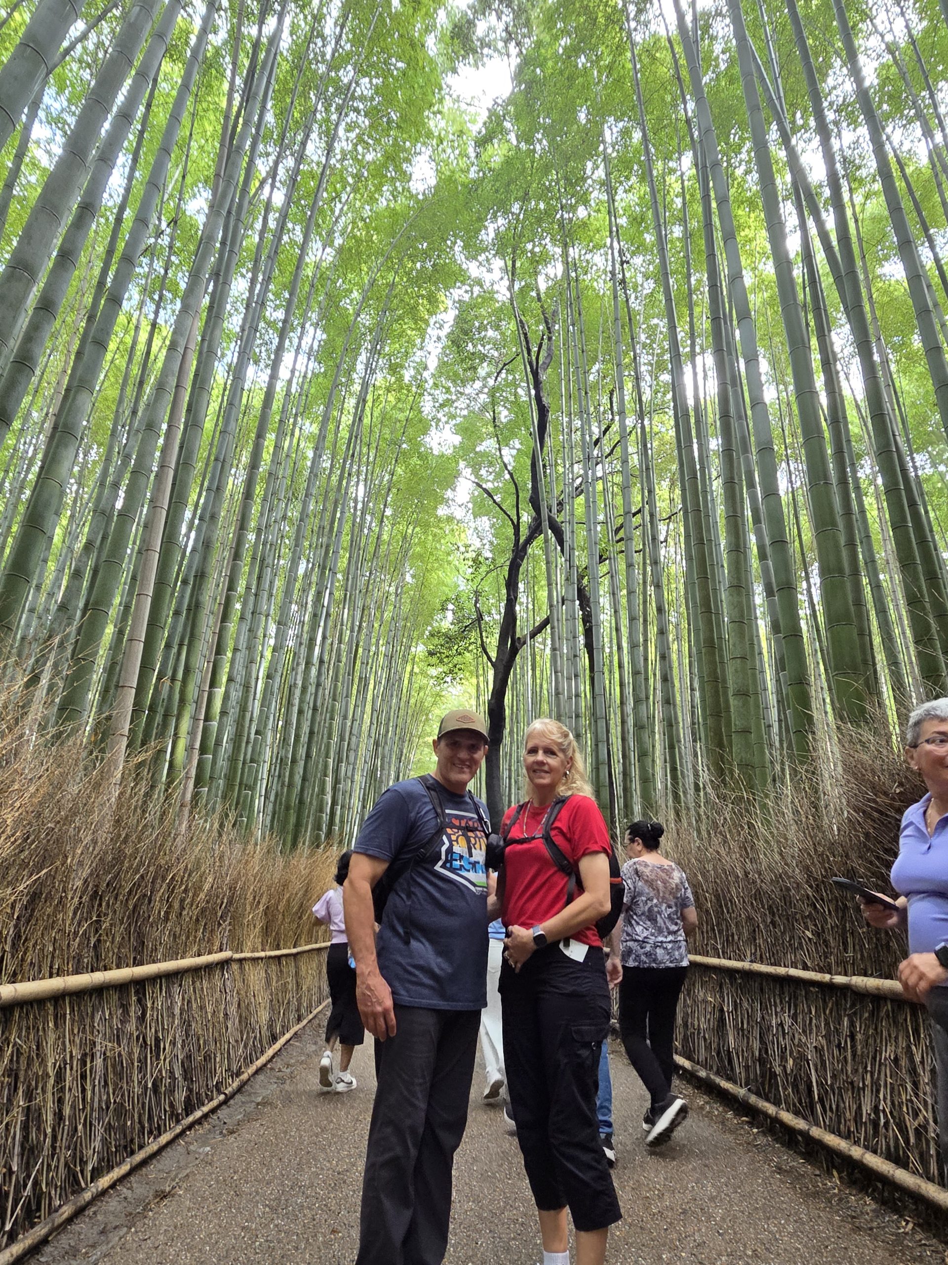 Kyoto in One Day: Kyoto Station & Fushimi Inari Taisha