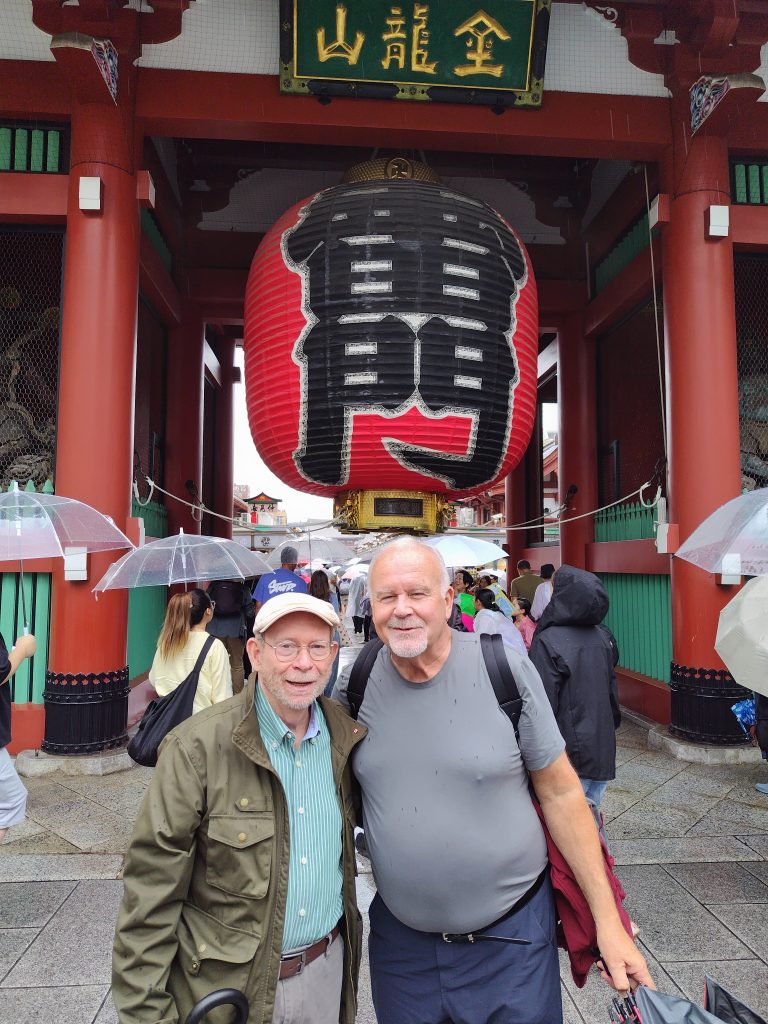 Tokyo in 1 Day from Yokohama: Private Tour