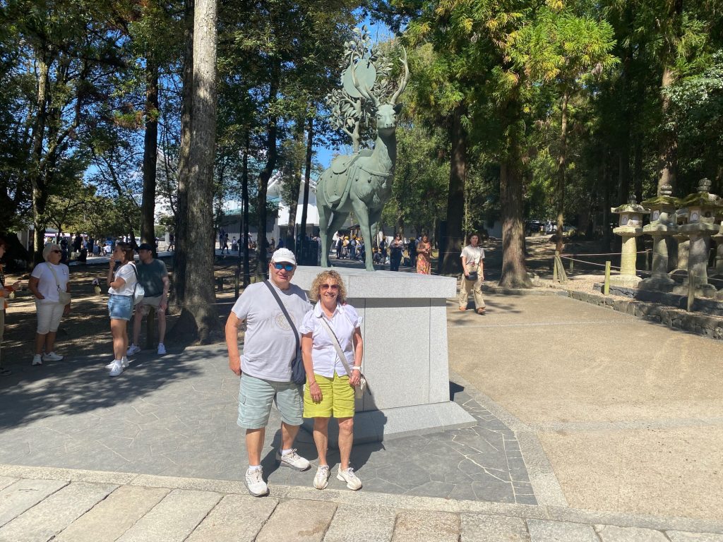 Nara Customized Private Tour in 1 Day