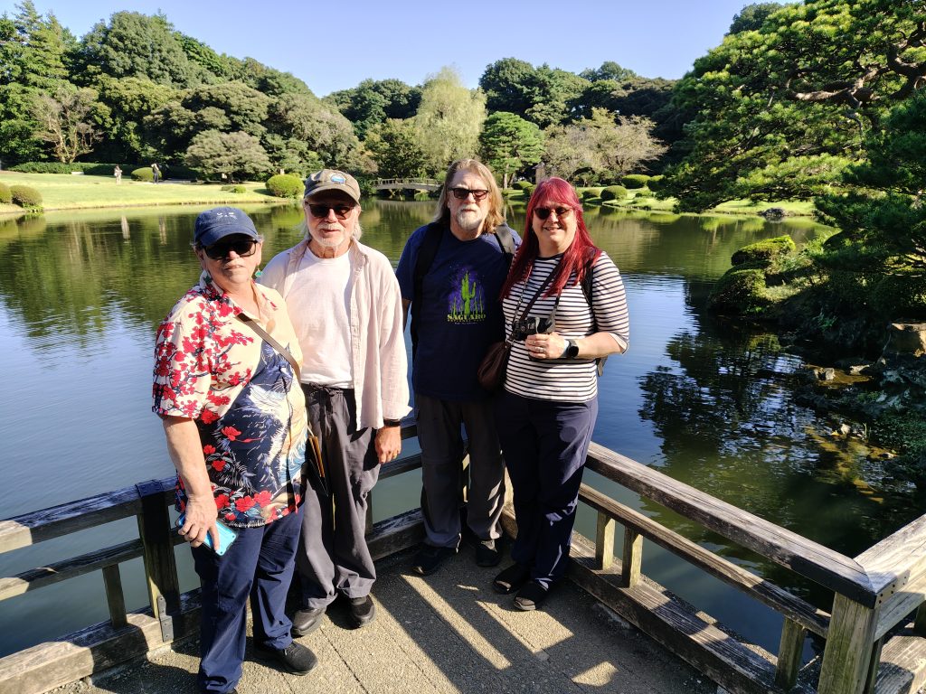 Tokyo in One Day: Akihabara & Meiji Shrine