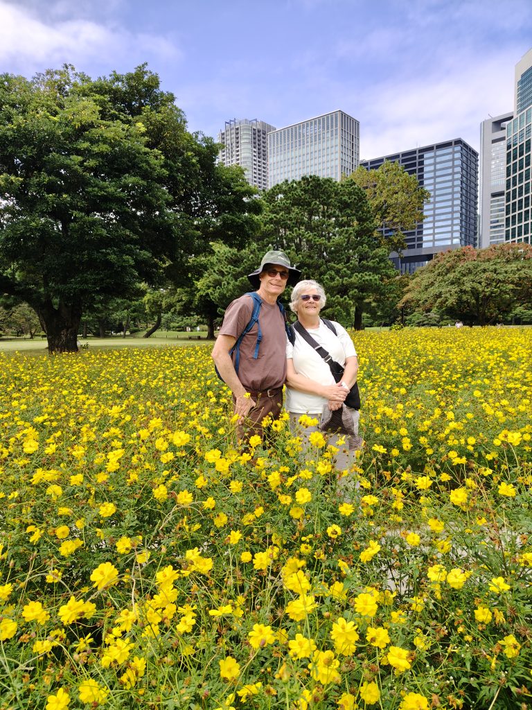Tokyo in One Day: Tsukiji Outer Market & Meiji Shrine