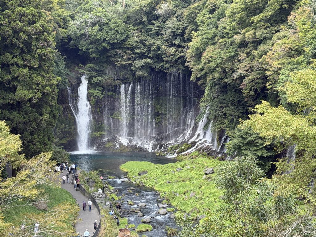 Mt. Fuji View Shimizu Customized Tour