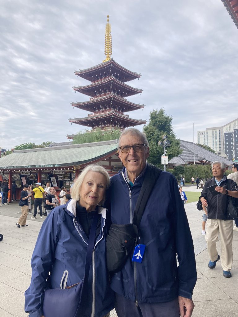Tokyo Customized Private Tour in 1 Day