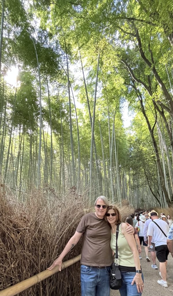 Kyoto in One Day: Sanjo Keihan Station & Kiyomizu-dera Temple