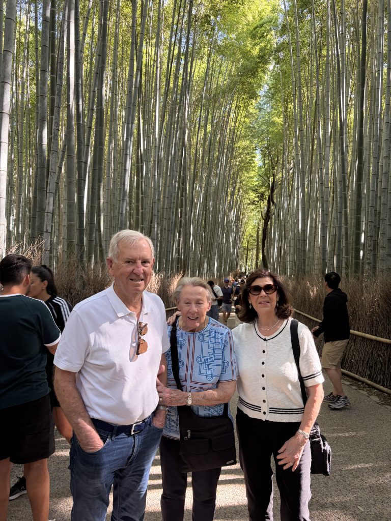 Kyoto Customized Half-Day Tour