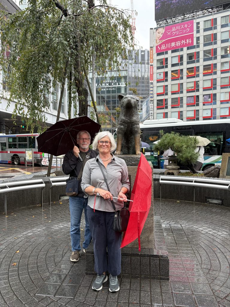 Tokyo in Half a Day: Meiji Shrine & Tsukiji