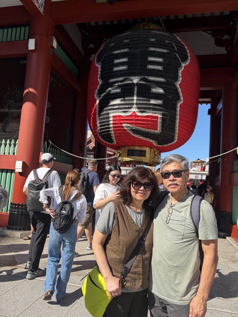 Tokyo in One Day: Meiji Shrine & Asakusa