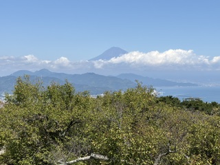 Mt. Fuji View Shimizu Customized Tour